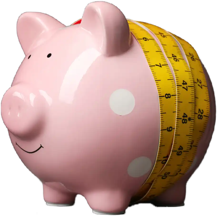 flytec-piggy Flytec Piggy